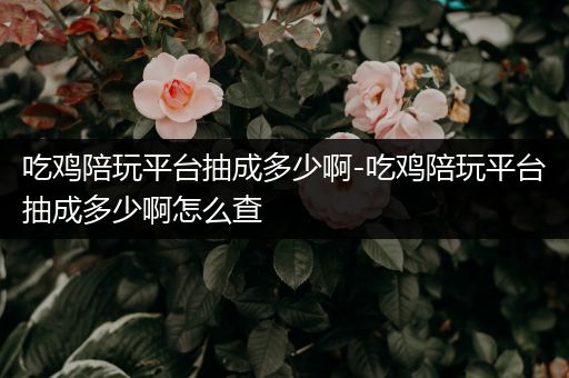 吃鸡陪玩平台抽成多少啊-吃鸡陪玩平台抽成多少啊怎么查