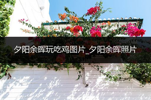 夕阳余晖玩吃鸡图片_夕阳余晖照片