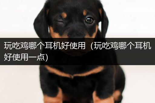 玩吃鸡哪个耳机好使用（玩吃鸡哪个耳机好使用一点）