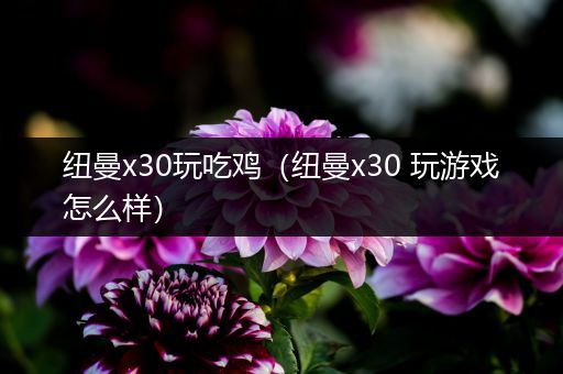 纽曼x30玩吃鸡（纽曼x30 玩游戏怎么样）