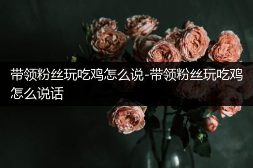 带领粉丝玩吃鸡怎么说-带领粉丝玩吃鸡怎么说话