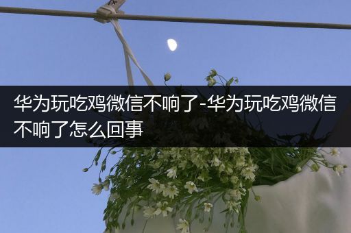 华为玩吃鸡微信不响了-华为玩吃鸡微信不响了怎么回事