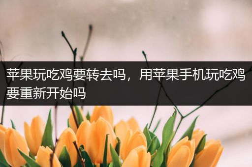 苹果玩吃鸡要转去吗，用苹果手机玩吃鸡要重新开始吗