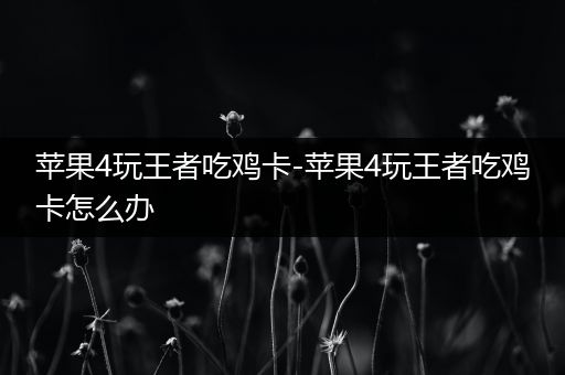 苹果4玩王者吃鸡卡-苹果4玩王者吃鸡卡怎么办