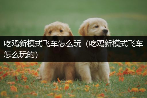 吃鸡新模式飞车怎么玩（吃鸡新模式飞车怎么玩的）