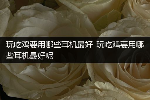 玩吃鸡要用哪些耳机最好-玩吃鸡要用哪些耳机最好呢