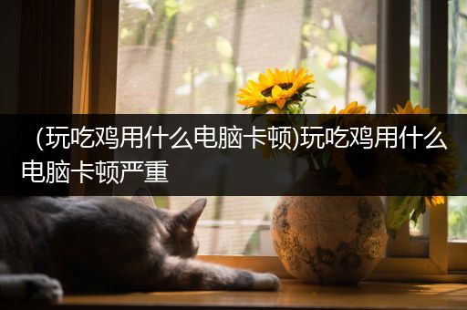 （玩吃鸡用什么电脑卡顿)玩吃鸡用什么电脑卡顿严重