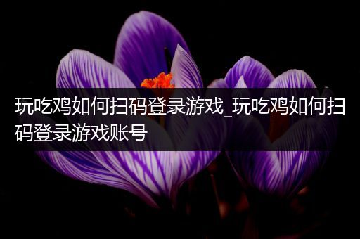 玩吃鸡如何扫码登录游戏_玩吃鸡如何扫码登录游戏账号