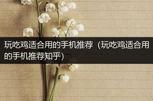玩吃鸡适合用的手机推荐（玩吃鸡适合用的手机推荐知乎）