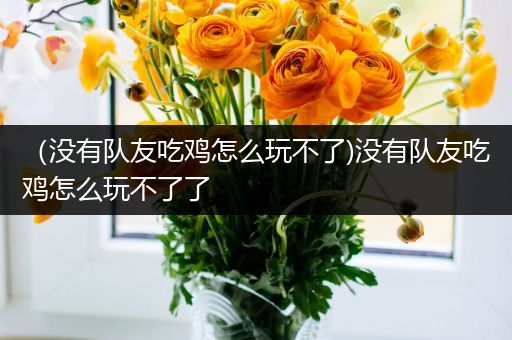 （没有队友吃鸡怎么玩不了)没有队友吃鸡怎么玩不了了