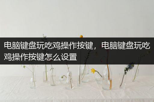电脑键盘玩吃鸡操作按键，电脑键盘玩吃鸡操作按键怎么设置