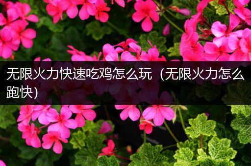 无限火力快速吃鸡怎么玩（无限火力怎么跑快）