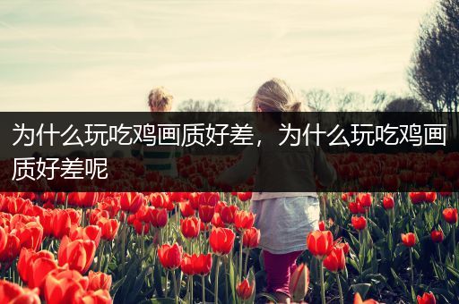 为什么玩吃鸡画质好差，为什么玩吃鸡画质好差呢