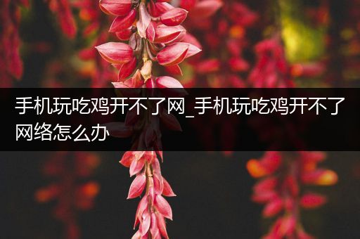 手机玩吃鸡开不了网_手机玩吃鸡开不了网络怎么办