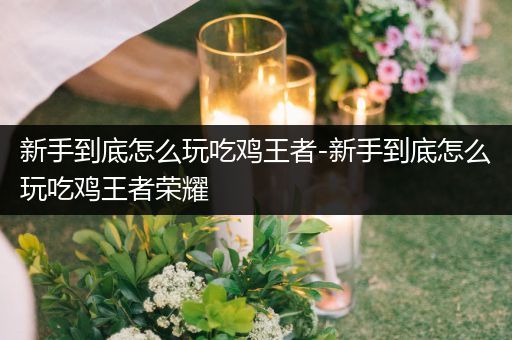 新手到底怎么玩吃鸡王者-新手到底怎么玩吃鸡王者荣耀