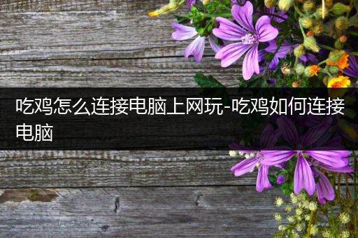 吃鸡怎么连接电脑上网玩-吃鸡如何连接电脑
