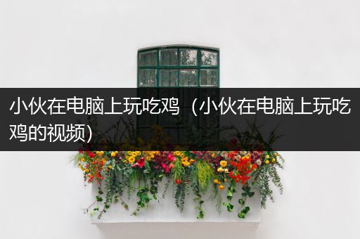 小伙在电脑上玩吃鸡（小伙在电脑上玩吃鸡的视频）