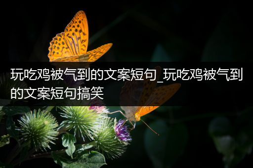 玩吃鸡被气到的文案短句_玩吃鸡被气到的文案短句搞笑