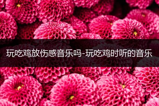 玩吃鸡放伤感音乐吗-玩吃鸡时听的音乐
