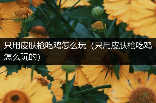 只用皮肤枪吃鸡怎么玩（只用皮肤枪吃鸡怎么玩的）