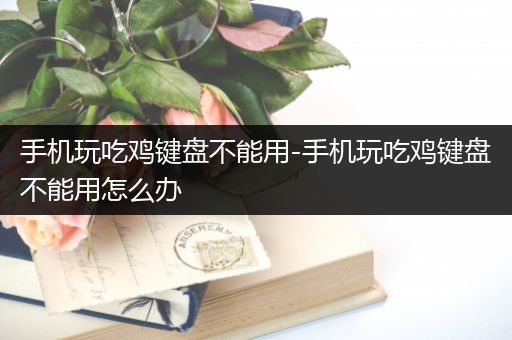 手机玩吃鸡键盘不能用-手机玩吃鸡键盘不能用怎么办
