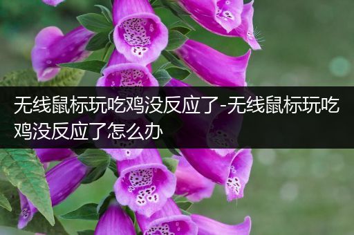 无线鼠标玩吃鸡没反应了-无线鼠标玩吃鸡没反应了怎么办
