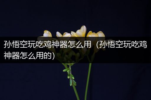 孙悟空玩吃鸡神器怎么用（孙悟空玩吃鸡神器怎么用的）