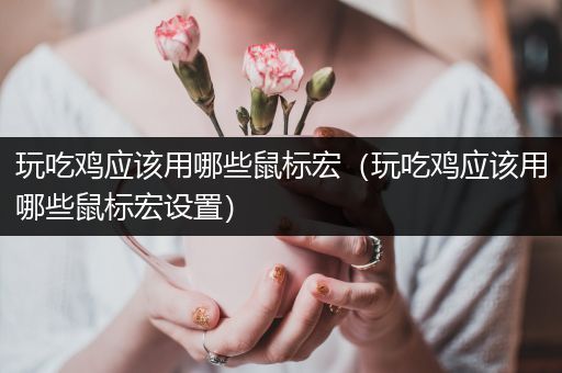 玩吃鸡应该用哪些鼠标宏（玩吃鸡应该用哪些鼠标宏设置）