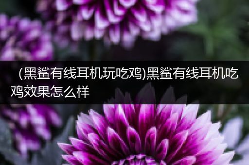 （黑鲨有线耳机玩吃鸡)黑鲨有线耳机吃鸡效果怎么样