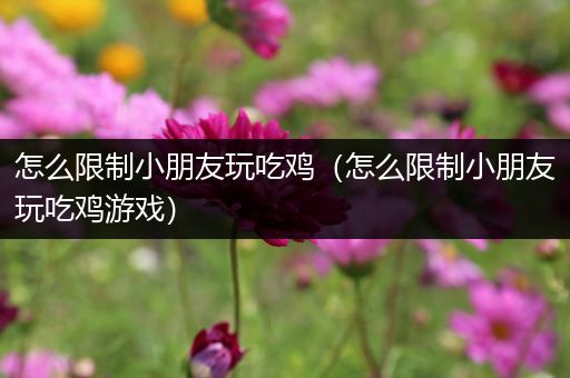 怎么限制小朋友玩吃鸡（怎么限制小朋友玩吃鸡游戏）