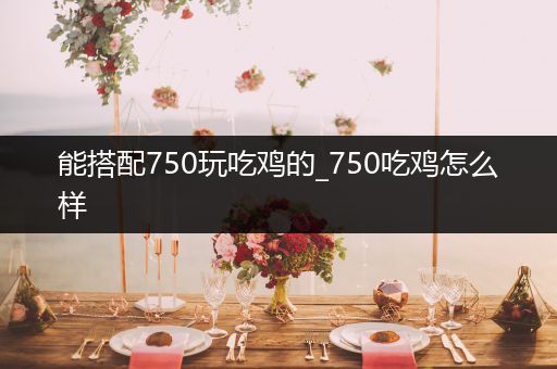能搭配750玩吃鸡的_750吃鸡怎么样