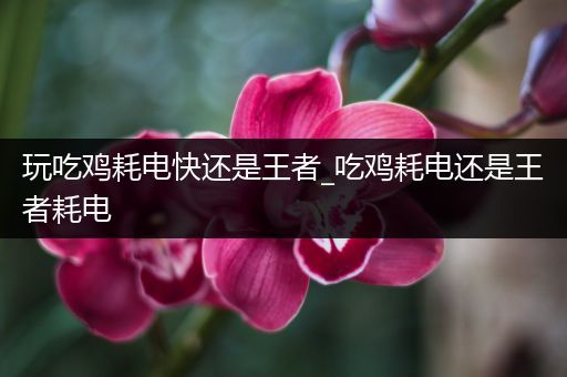 玩吃鸡耗电快还是王者_吃鸡耗电还是王者耗电