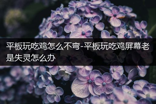 平板玩吃鸡怎么不弯-平板玩吃鸡屏幕老是失灵怎么办