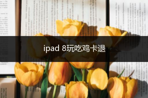 ipad 8玩吃鸡卡退