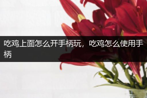 吃鸡上面怎么开手柄玩，吃鸡怎么使用手柄