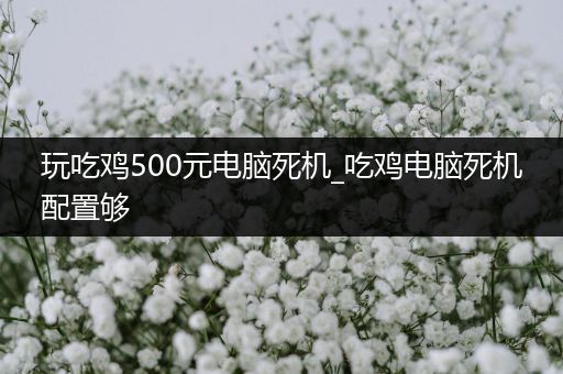 玩吃鸡500元电脑死机_吃鸡电脑死机配置够