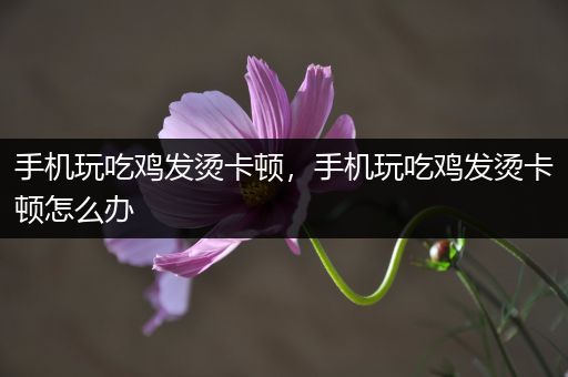 手机玩吃鸡发烫卡顿，手机玩吃鸡发烫卡顿怎么办