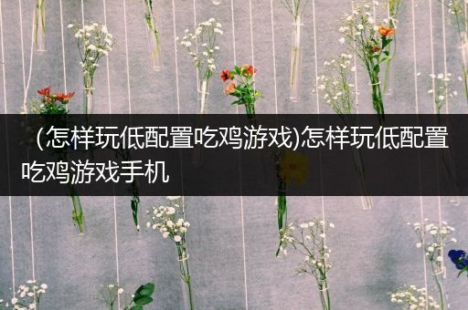 （怎样玩低配置吃鸡游戏)怎样玩低配置吃鸡游戏手机