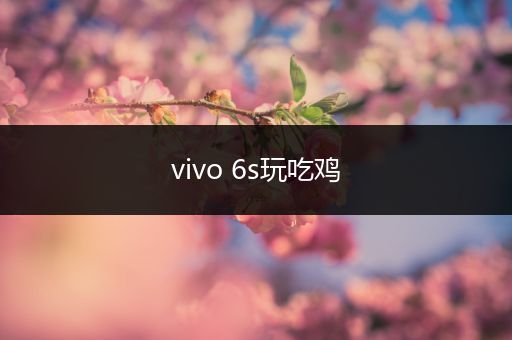 vivo 6s玩吃鸡