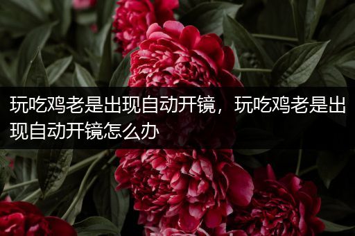 玩吃鸡老是出现自动开镜，玩吃鸡老是出现自动开镜怎么办