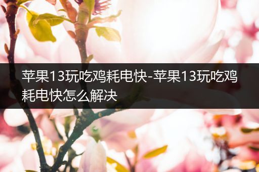 苹果13玩吃鸡耗电快-苹果13玩吃鸡耗电快怎么解决