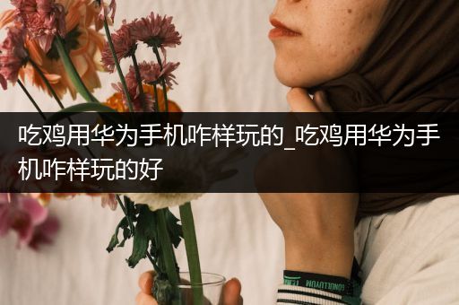 吃鸡用华为手机咋样玩的_吃鸡用华为手机咋样玩的好