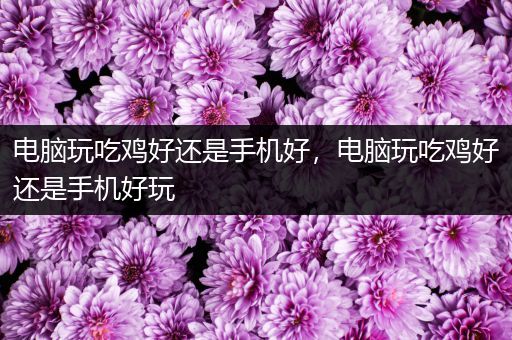 电脑玩吃鸡好还是手机好，电脑玩吃鸡好还是手机好玩