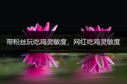 带粉丝玩吃鸡灵敏度，网红吃鸡灵敏度