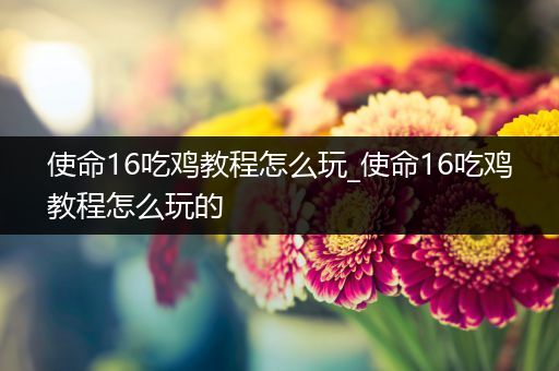 使命16吃鸡教程怎么玩_使命16吃鸡教程怎么玩的