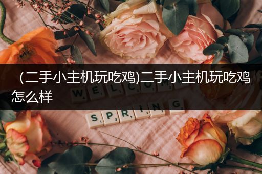 （二手小主机玩吃鸡)二手小主机玩吃鸡怎么样