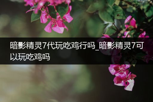 暗影精灵7代玩吃鸡行吗_暗影精灵7可以玩吃鸡吗