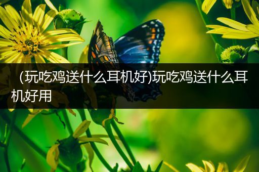 （玩吃鸡送什么耳机好)玩吃鸡送什么耳机好用