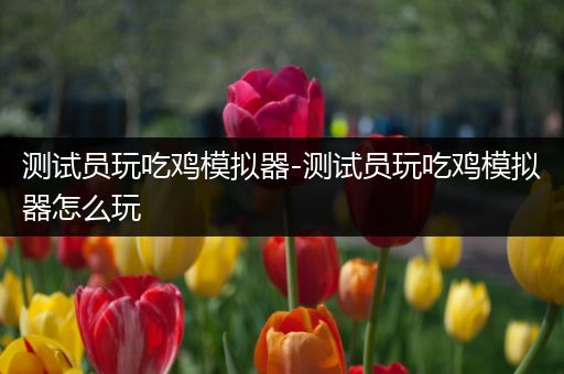 测试员玩吃鸡模拟器-测试员玩吃鸡模拟器怎么玩