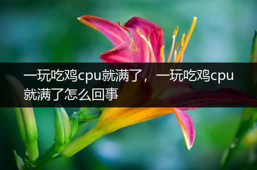 一玩吃鸡cpu就满了，一玩吃鸡cpu就满了怎么回事